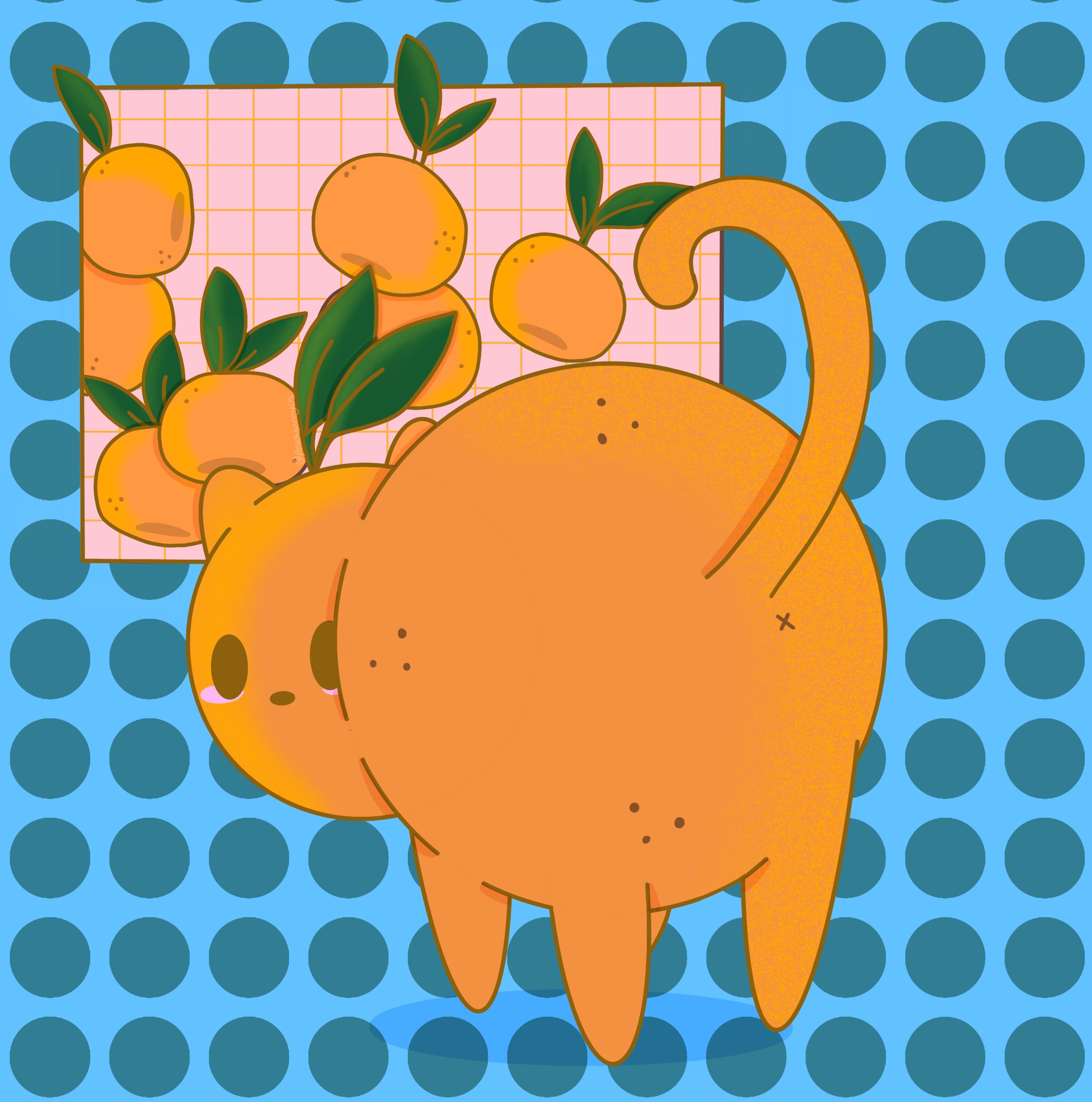 Orange Cat